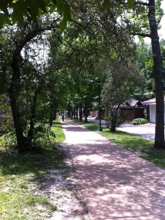 Ackert Walkway